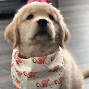 Meet your Posher, Kennedy